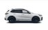 Volkswagen Tiguan 2,0 TDI R-Line 4MOT