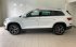 Škoda Kodiaq 2.0 TDI 110 kW 4x4 A7A Style Plus