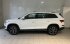 Škoda Kodiaq 2.0 TDI 110 kW 4x4 A7A Style Plus