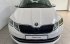 Škoda Octavia Combi 2.0 TDI 110 kW A7F Style